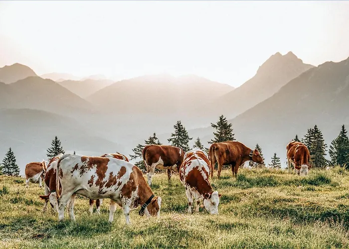 Cabin8 Alpine Flair Διαμέρισμα